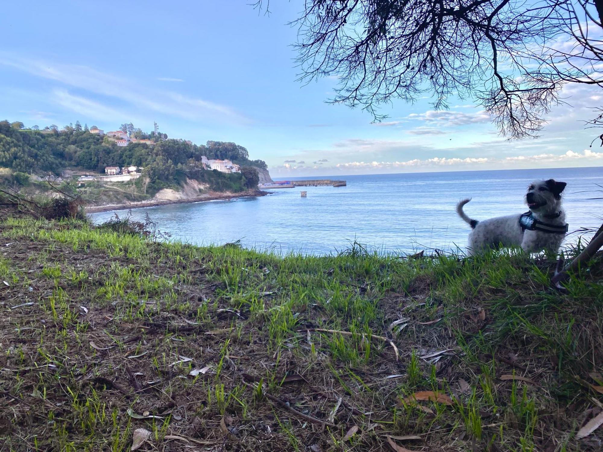 El Apartamentin De Lastres Dış mekan fotoğraf